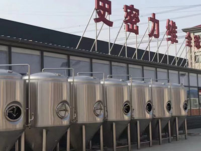 达拉特精酿啤酒设备厂—市场规模与跨界新需求